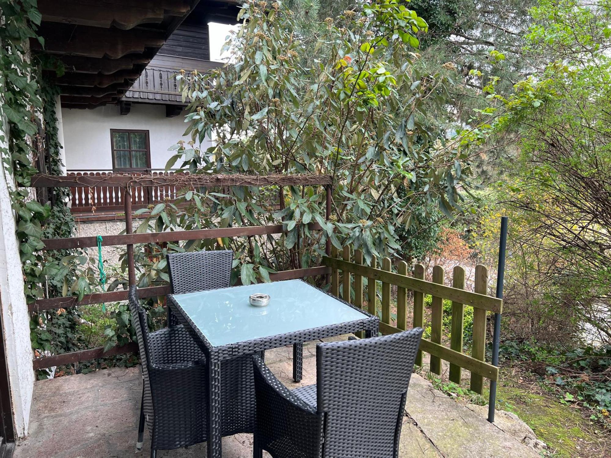 Studio Mit Gartenterrasse Salzburg Dış mekan fotoğraf