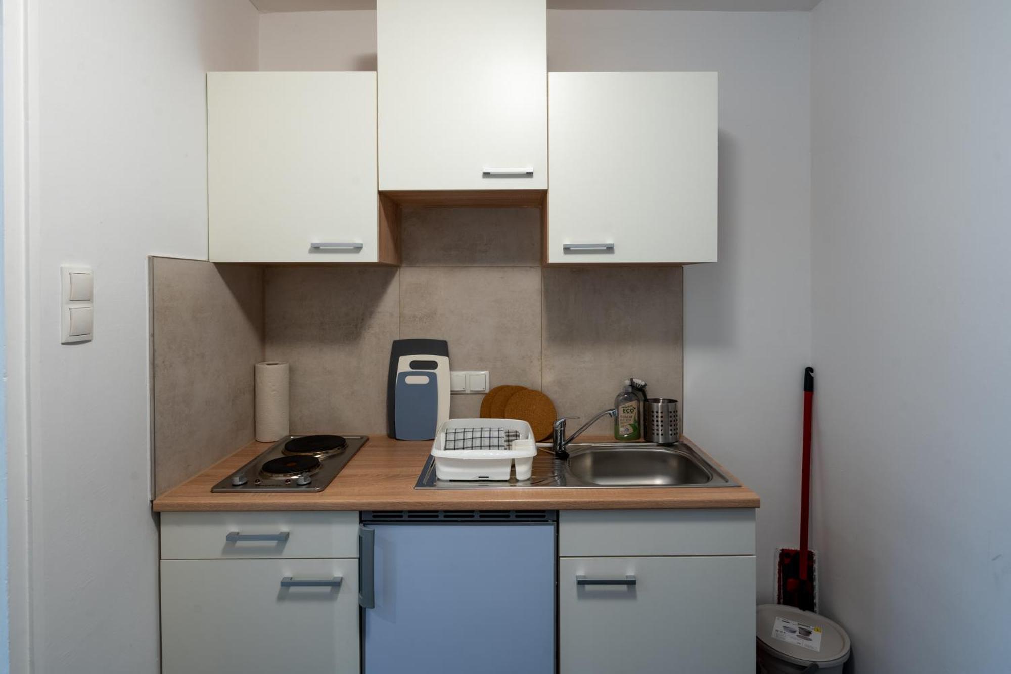 Studio Mit Gartenterrasse Salzburg Dış mekan fotoğraf